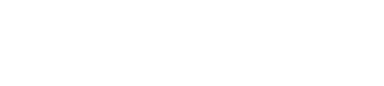 Nexanet Logo